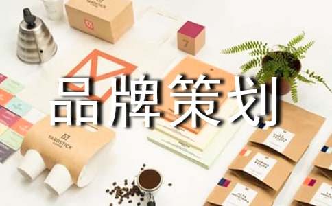 产品品牌策划方案(图1)