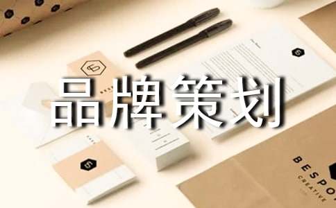 优秀品牌策划方案(图1)